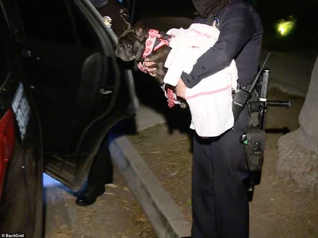 Asia siendo rescatada por la Policía de Los Angeles – Daily Mail