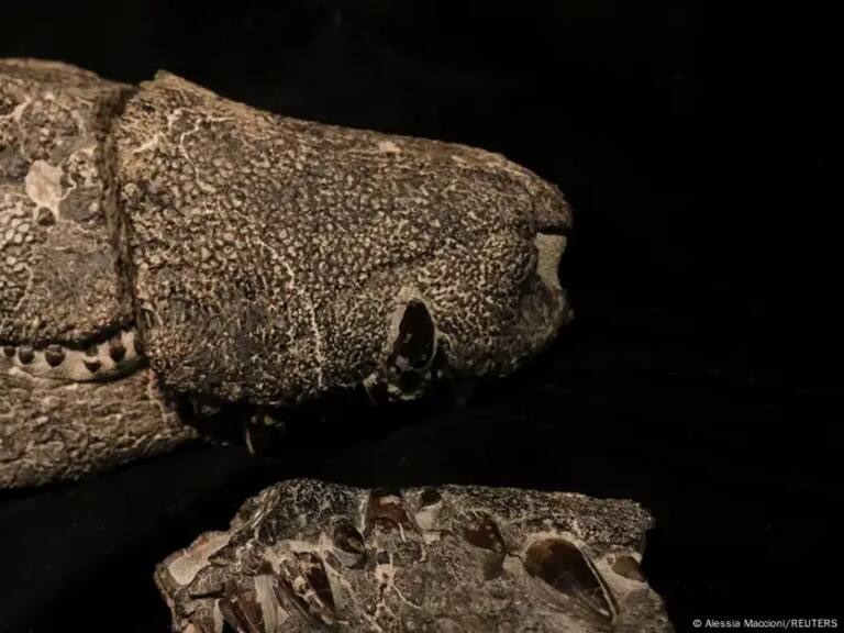 Imagen: Alessia Maccioni/REUTERS