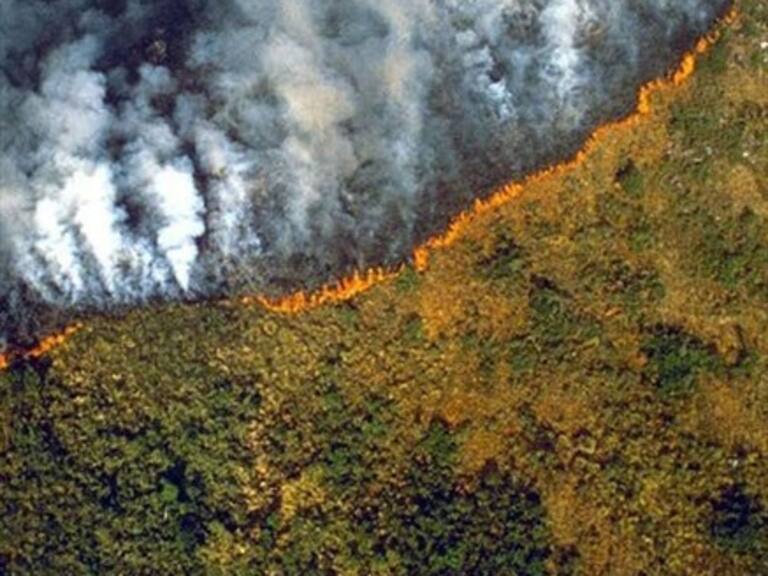 Las fotos que circulan que no corresponden al incendio actual en selva amazónica de Brasil