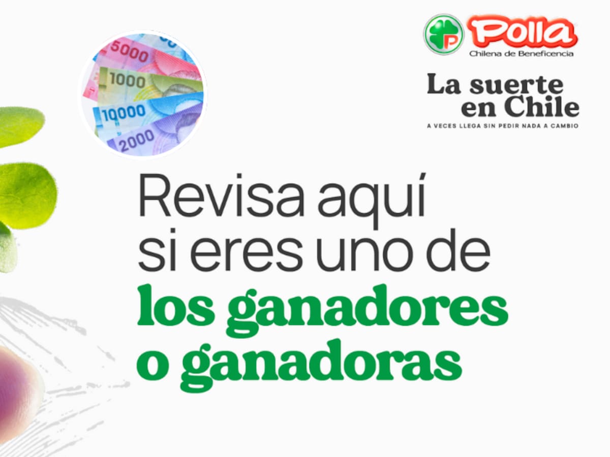 La Suerte de Ser Chileno 2.0: todos los RUT de ganadores de hoy martes 24 de diciembre