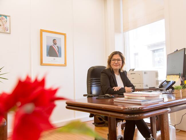 Directora del SernamEG, Priscilla Carrasco