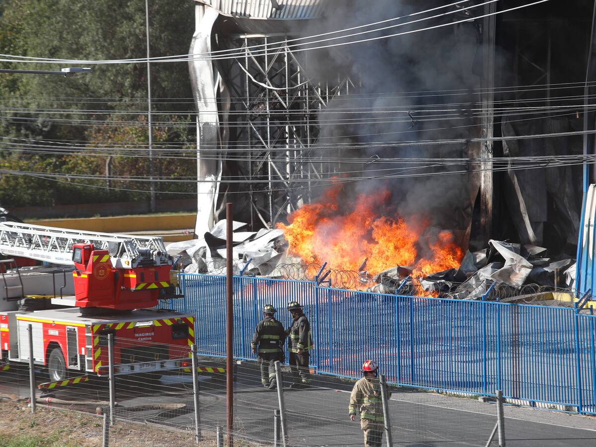 Se reactiva incendio en empresa frutícola de Paine: bomberos trabaja ante riesgo por derrame de amoniaco