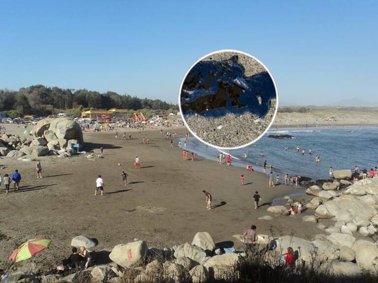 Activan protocolos ambientales por hallazgo de sustancia desconocida en playa de Ritoque