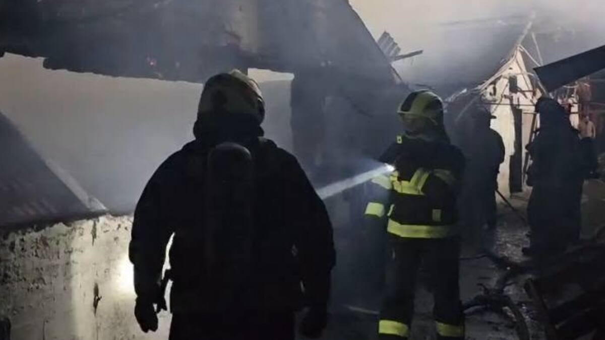 Tragedia en criadero Soler: incendio arrasa con miles de animales