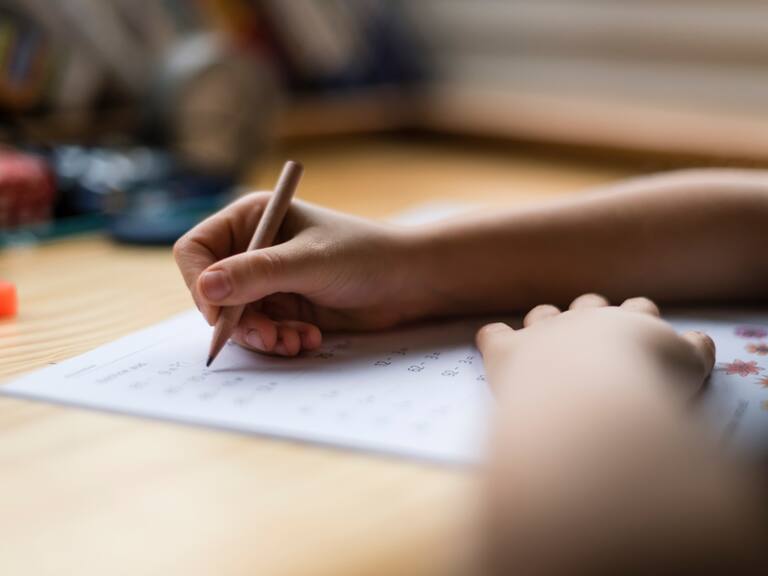 Nadie le enseñó el idioma: niño chileno habla sólo inglés y sería uno de los pocos casos que hay en el mundo