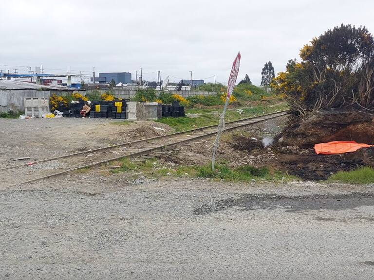 Puerto Montt: encuentran cuerpo calcinado en ruta alternativa al sector de Alerce