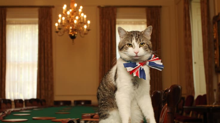 La historia detrás del gato más famoso del Reino Unido: pasan los Gabinetes pero Larry se queda como Jefe Ratonero