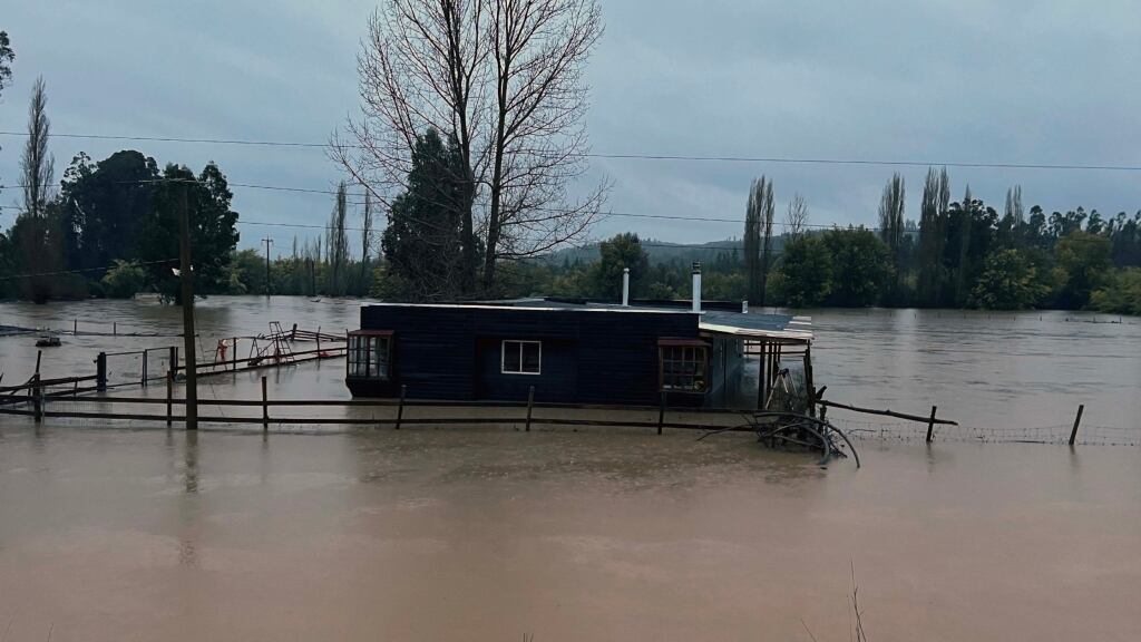 Sector Nirivilo, comuna san Javier, Maule.