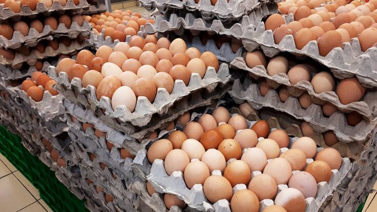 Incautan 400.000 huevos contrabandeados desde Bolivia y se encienden las alarmas por amenazas sanitarias