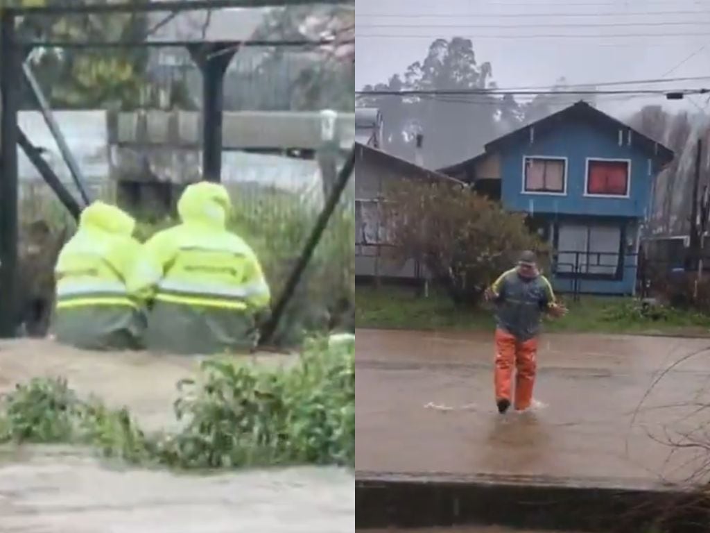 CAPTURAS