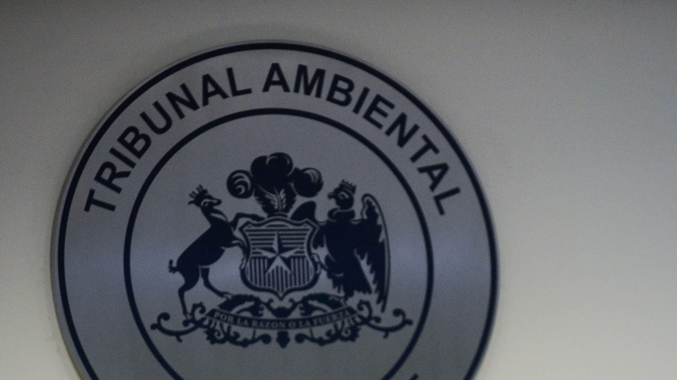 Tribunal ambiental por dominga