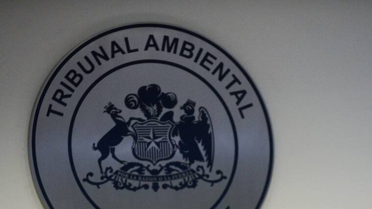 Tribunal ambiental por dominga
