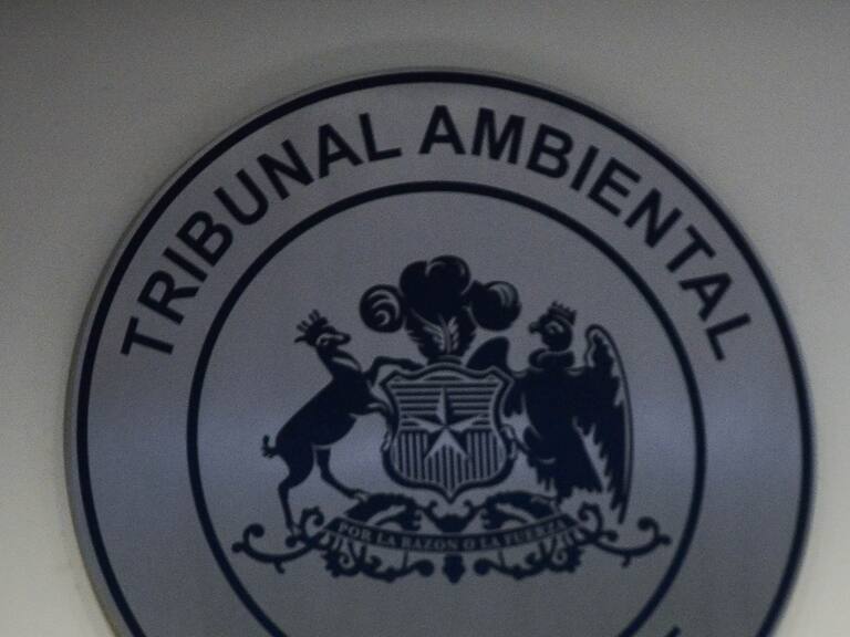 Tribunal acogió reclamo contra resolución que rechazaba el proyecto minero Dominga en la Región de Coquimbo