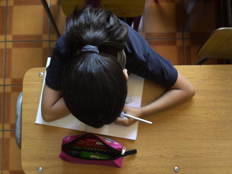 Colegios particulares pidieron flexibilidad al Mineduc ante inicio de clases: hay establecimientos que son vacunatorios y albergues