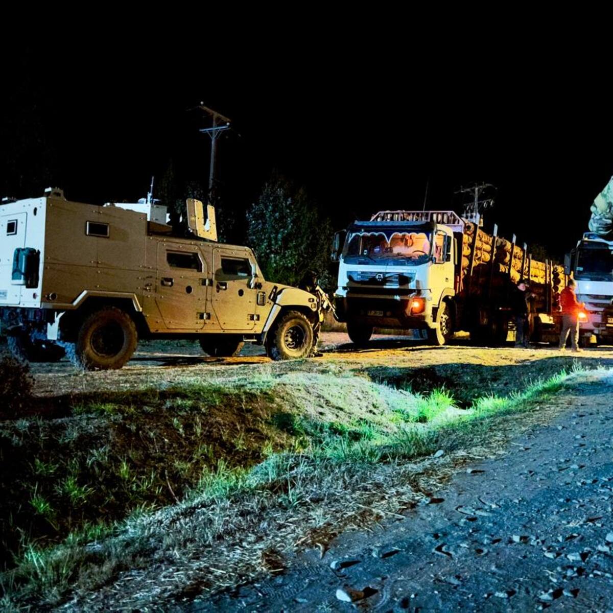 A tres años de la ley de sustracción de madera en Arauco: disminuyeron denuncias y se concretaron 48 condenas