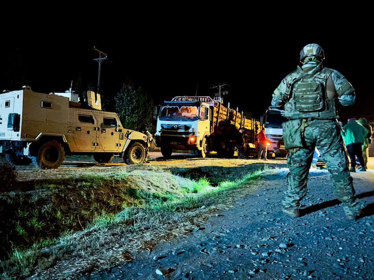 A tres años de la ley de sustracción de madera en Arauco: disminuyeron denuncias y se concretaron 48 condenas