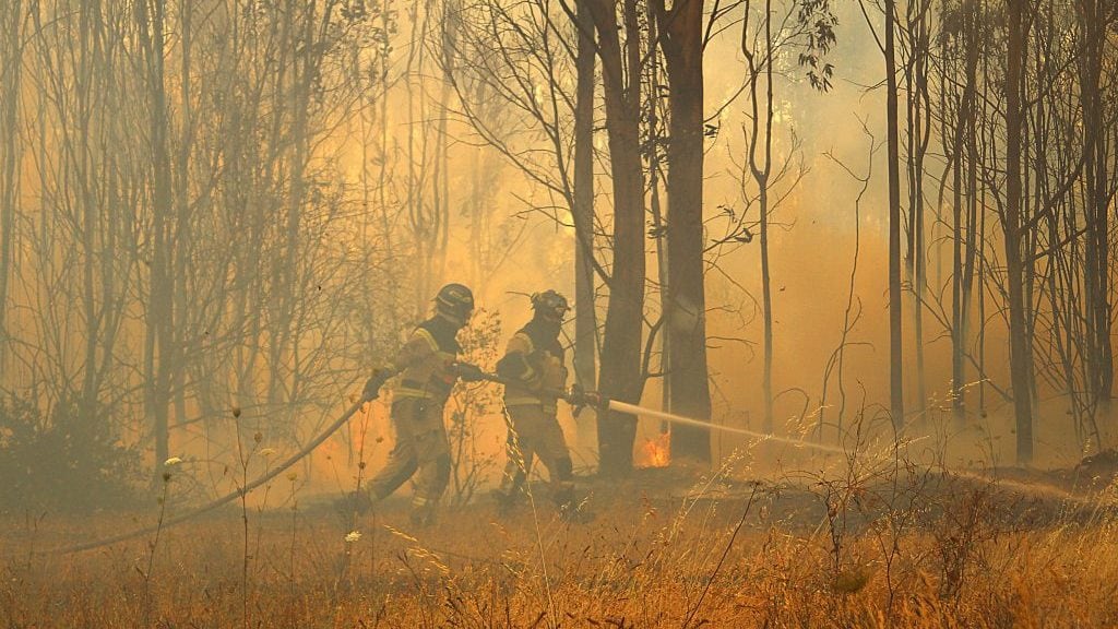 27 de Diciembre 2021/ CHILLAN.
Bomberos ingresan a bosque para atacar un foco que amenaza con reactivarse, en el marco de un incendio forestal registrado en quillón el cual ha consumido mas de 1600 hectáreas.
FOTO: JOSÉ CAMPOS / AGENCIA UNO