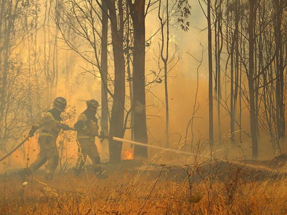Onemi informó que 20 incendios forestales se encuentran activos a nivel nacional