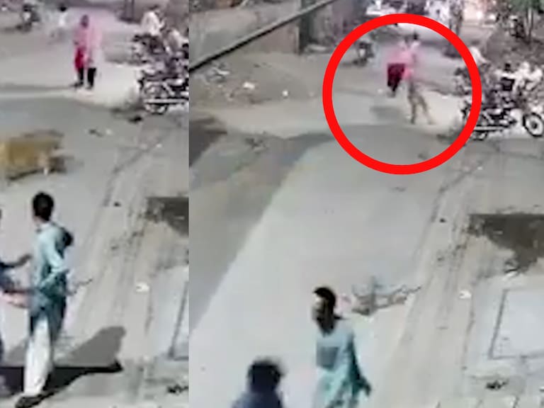 León mantenido como mascota escapa y ataca a mujer y niños en Pakistán