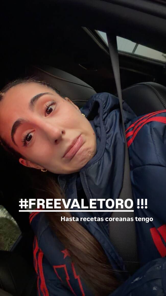 VALE TORO