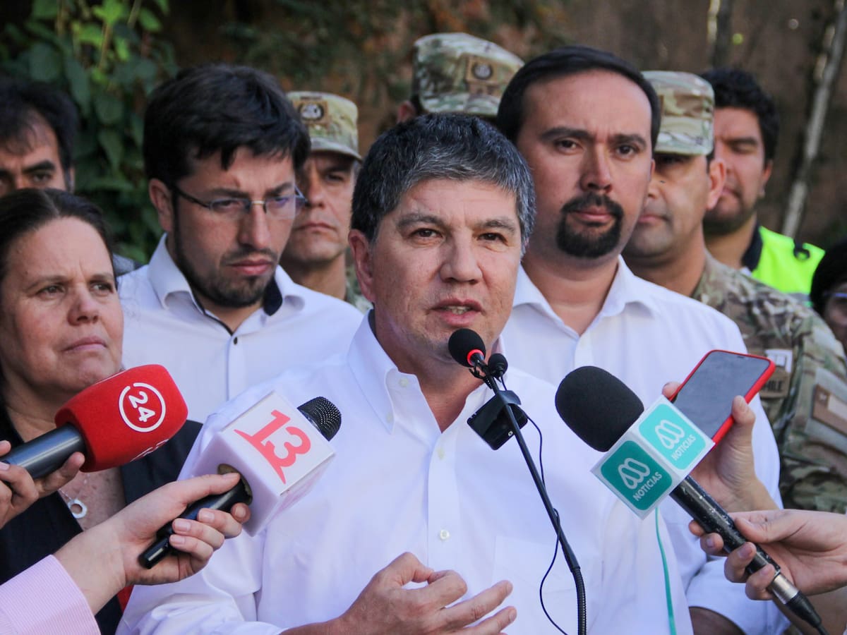 Gobierno e incendios intencionales: vamos a actuar con la mayor severidad que permite la ley