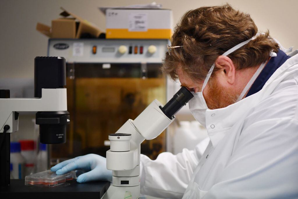 Científico investiga una vacuna para el coronavirus