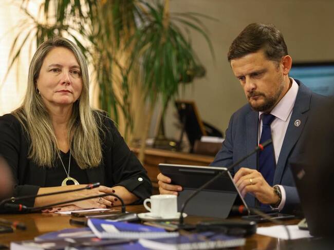Cedida | Los diputados Catalina del Real y Stephan Schubert