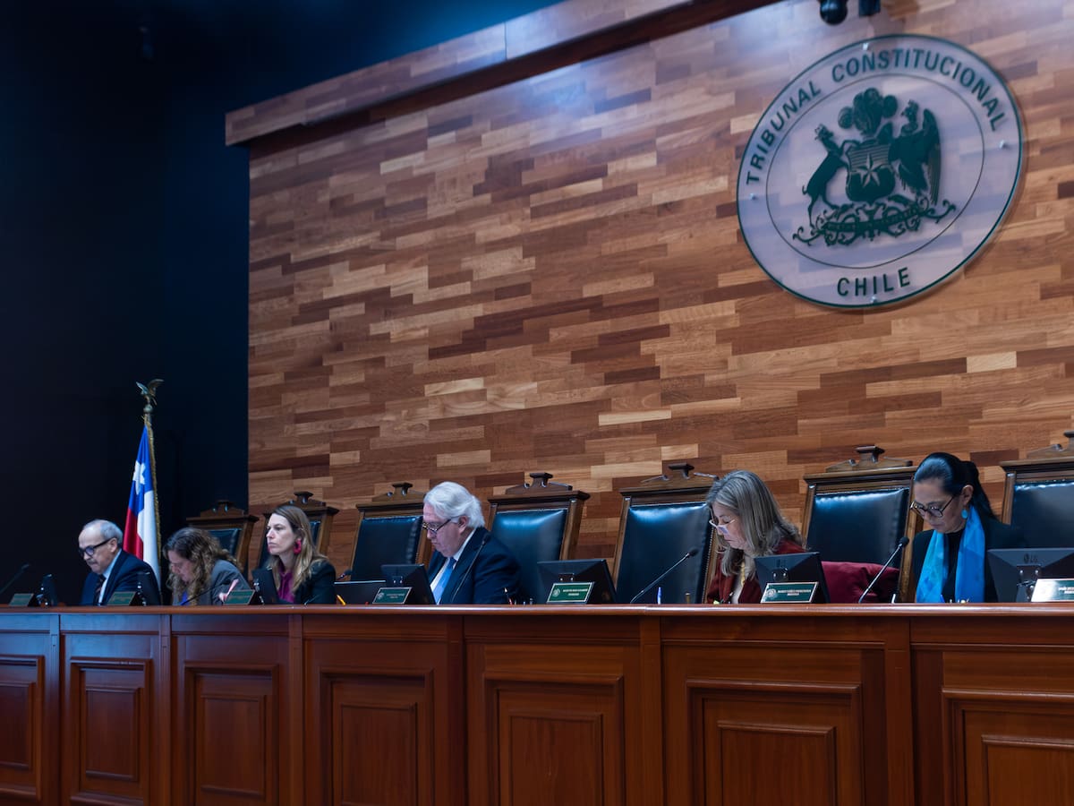 Golpe parcial del TC a la megarreforma: declara inconstitucionales normas tributarias y ambientales