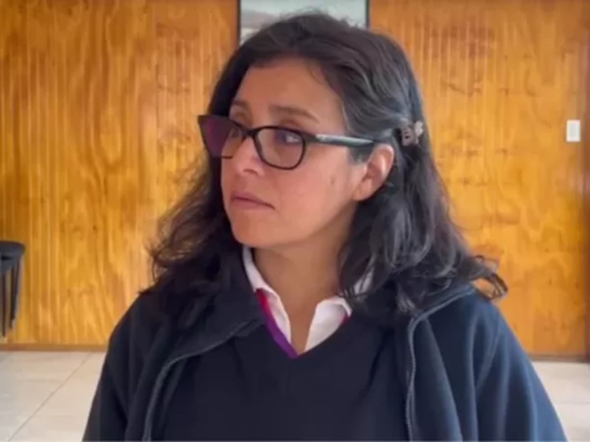 Conductora que auxilió a mujer baleada en Hualpén recuerda minutos clave: “Lo importante era...”