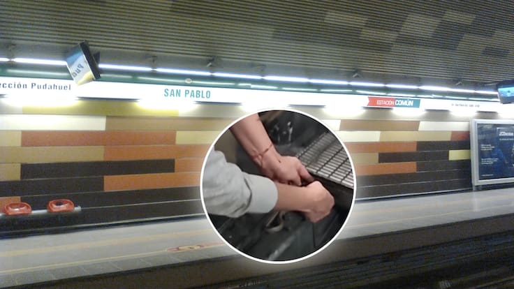 ¡Pasajero de sangre fría! Rescatan a una serpiente de los rieles en una estación del Metro de Santiago