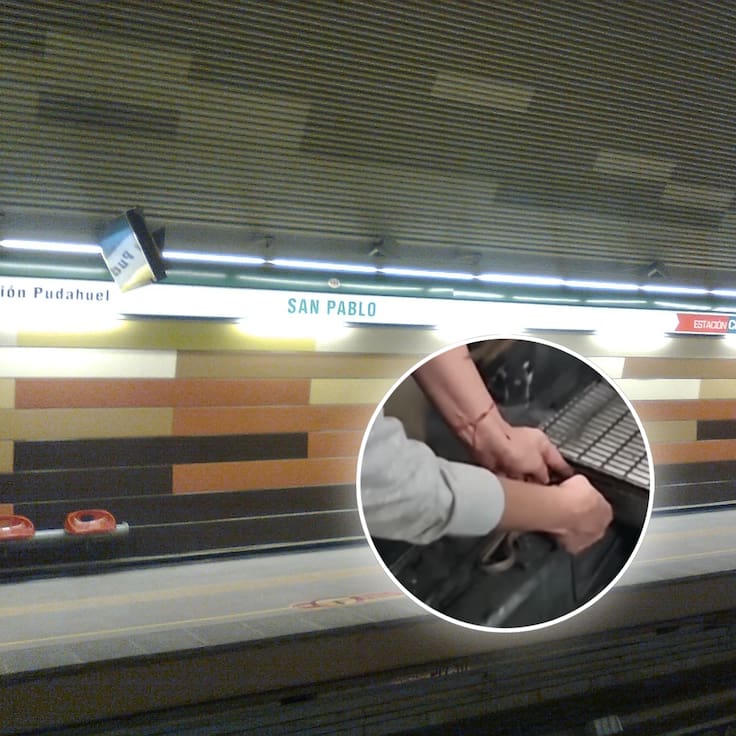 ¡Pasajero de sangre fría! Rescatan a una serpiente de los rieles en una estación del Metro de Santiago