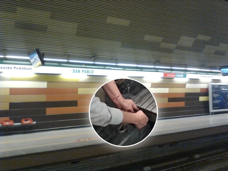 ¡Pasajero de sangre fría! Rescatan a una serpiente de los rieles en una estación del Metro de Santiago