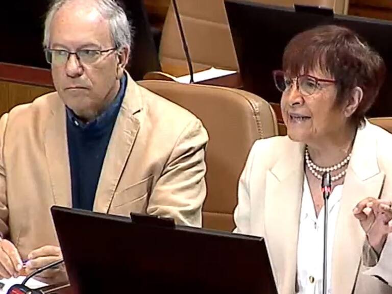 «Podría llamar al orden a esta jauría…»: Carmen Hertz desata polémica en la Cámara tras increpar a Cristián Labbé