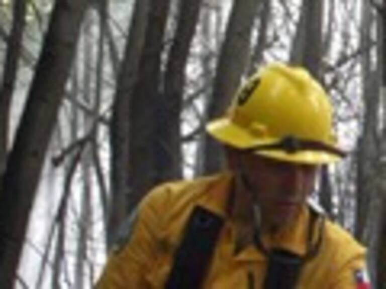 Por mejoras climáticas y extinción de los incendios levantaron alerta roja en Región del Bíobío