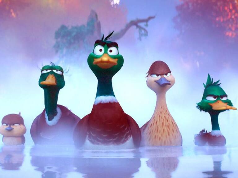 migration - película - patos