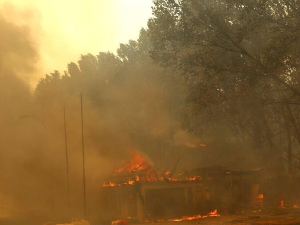 Incendios forestales: las impactantes imágenes de la evacuación de Purén en medio de las llamas