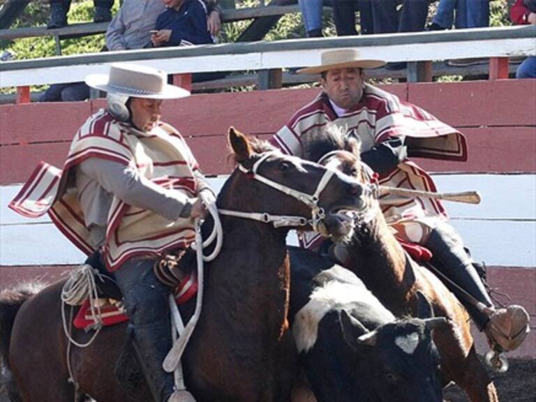 Pauline Kantor y la discusión por el rodeo: «Es parte de la esencia de los chilenos»