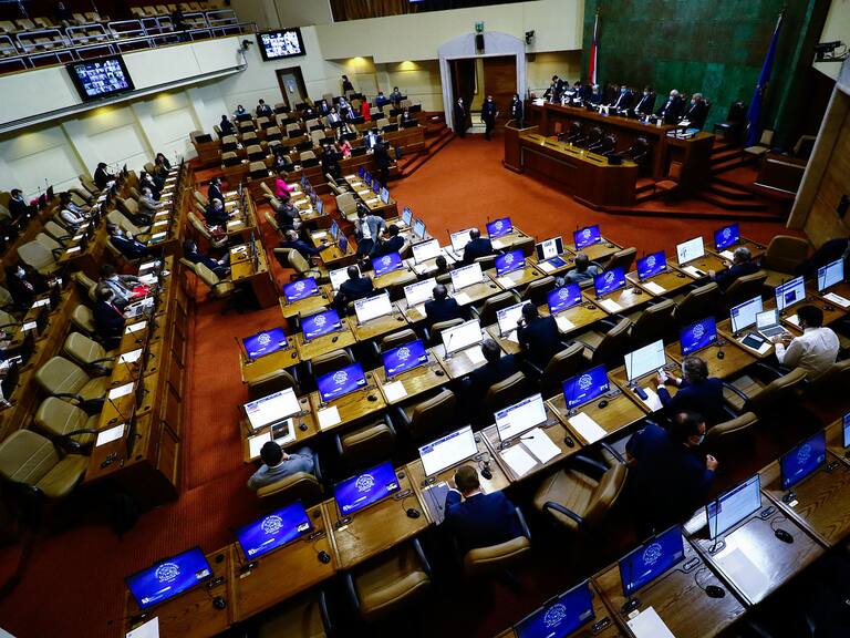 Cámara aprobó veto presidencial por Ingreso Familiar de Emergencia y pasa al Senado