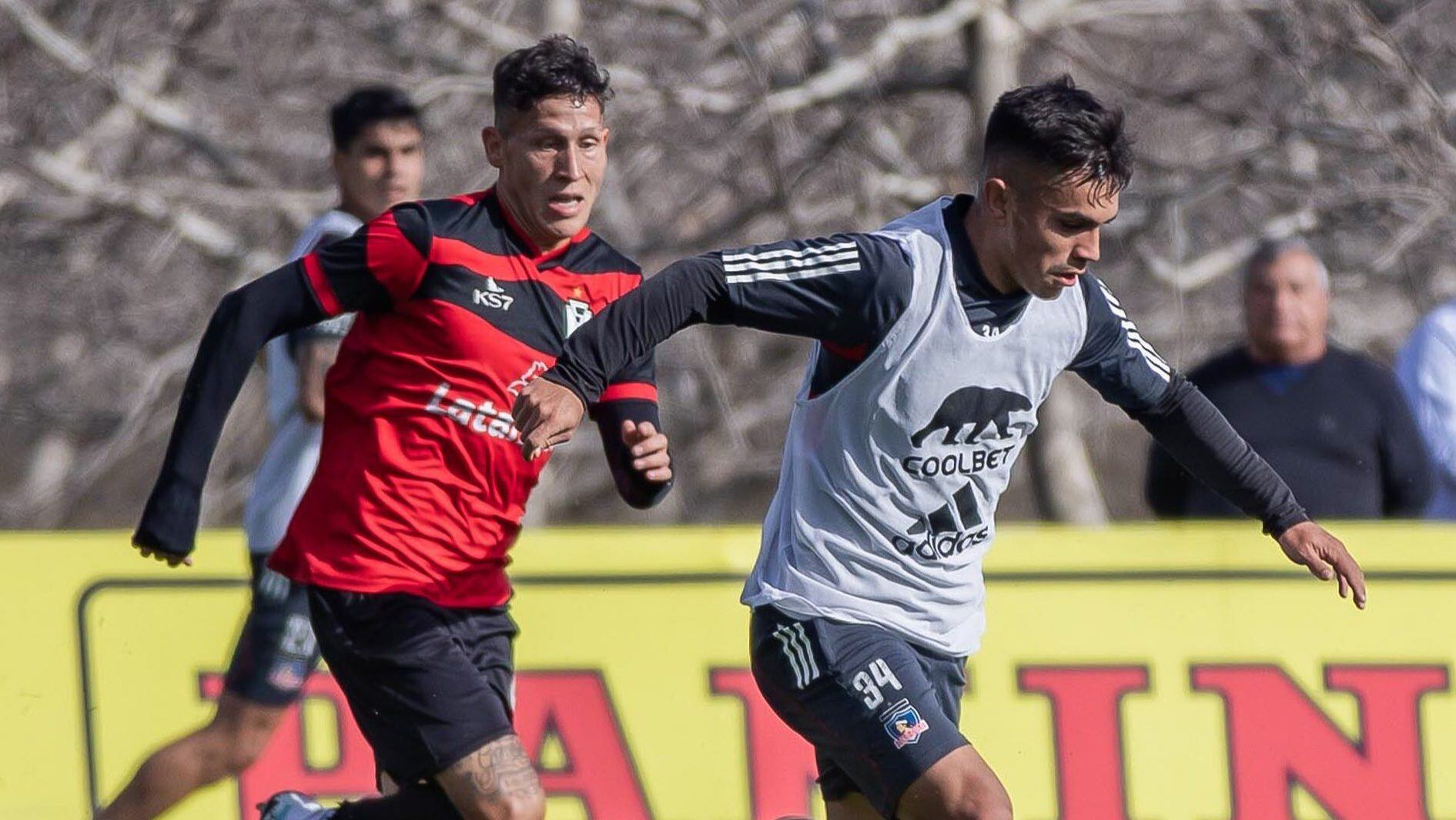 Colo Colo Morning