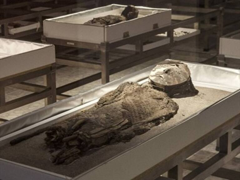 Investigadores buscan que se declare patrimonio de la humanidad a las momias chinchorro
