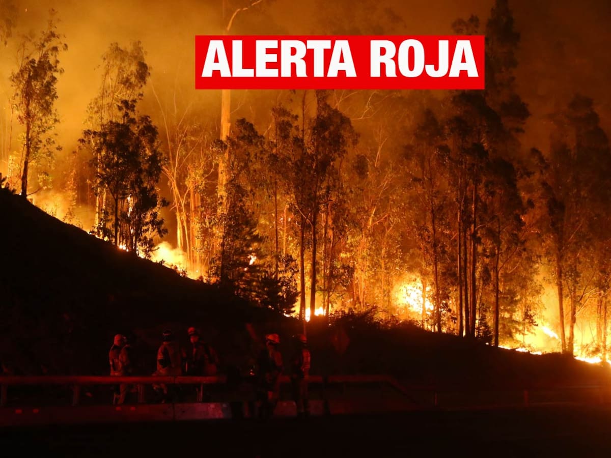 Ordenan evacuar sector del Maule: incendios forestales mantiene con Alerta Roja a 3 comunas de la región