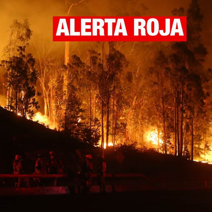 Declaran Alerta Roja en Machalí por incendio forestal cercano a infraestructura crítica