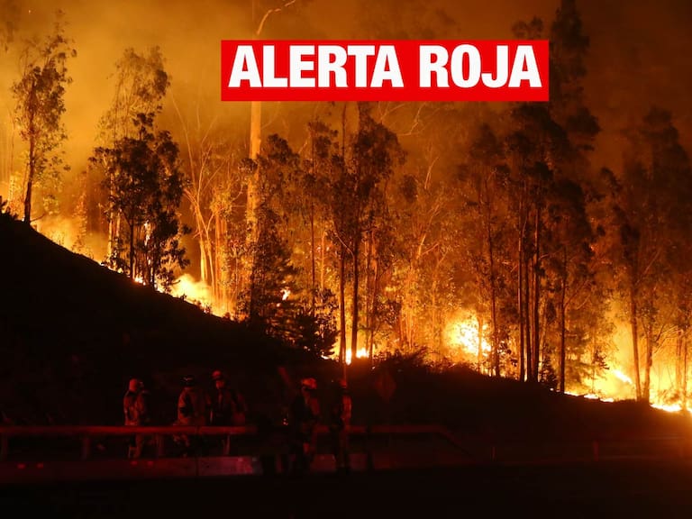 Declaran Alerta Roja en Machalí por incendio forestal cercano a infraestructura crítica