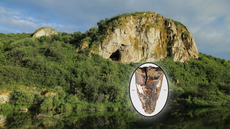 Cirujanos de la Edad de Piedra: Hallan evidencia de una de las intervenciones odontológicas más antigua de la historia