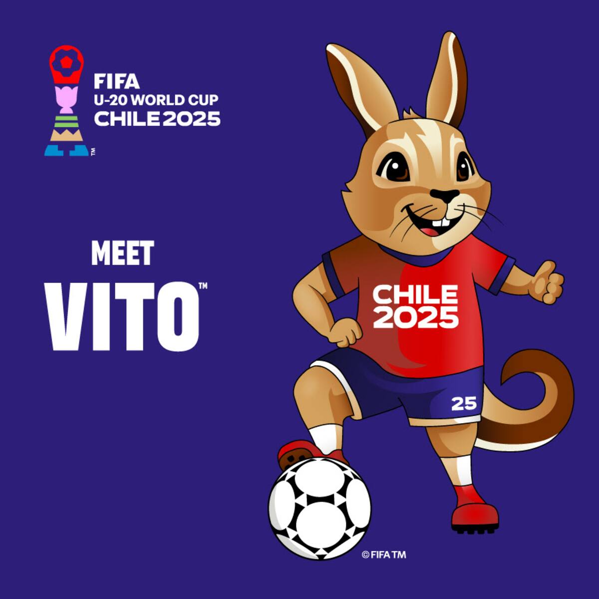 Mundial Sub 20: Vito, la vizcacha, es la mascota del evento