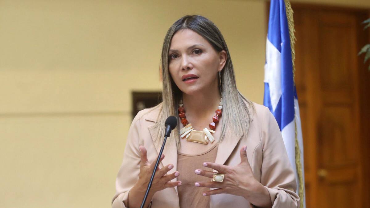 Diputada Pérez exige medidas por contratación de inhabilitados para trabajar con niños en organismos públicos