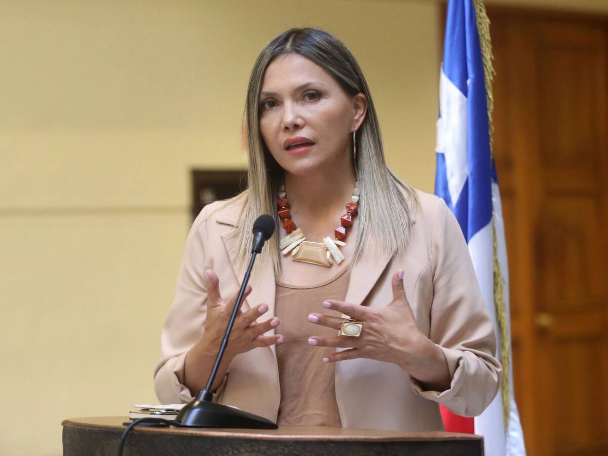Diputada Pérez exige medidas por contratación de inhabilitados para trabajar con niños en organismos públicos