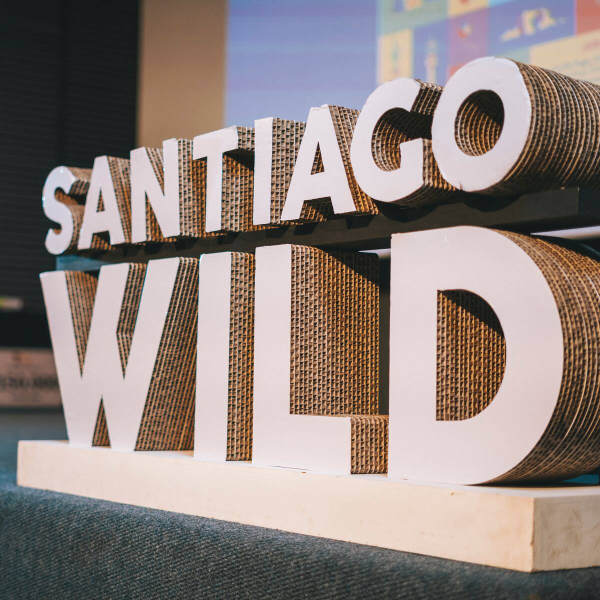 “Hijas del Bosque” gana el máximo premio de Santiago Wild 2026 y emociona con historia sobre hongos y comunidades indígenas