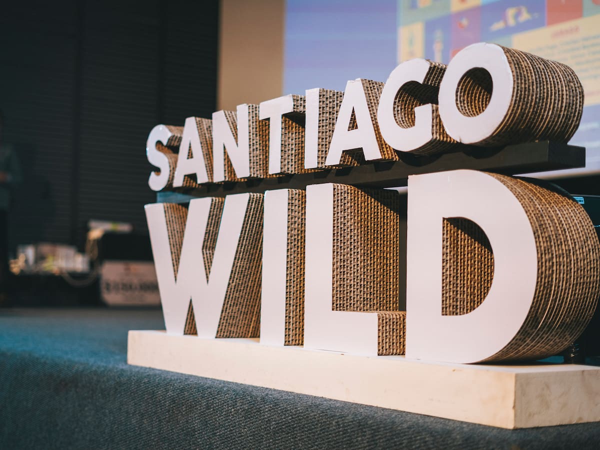 “Hijas del Bosque” gana el máximo premio de Santiago Wild 2026 y emociona con historia sobre hongos y comunidades indígenas