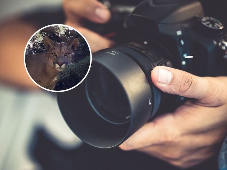 Getty Images | Agencia Uno | Referencial